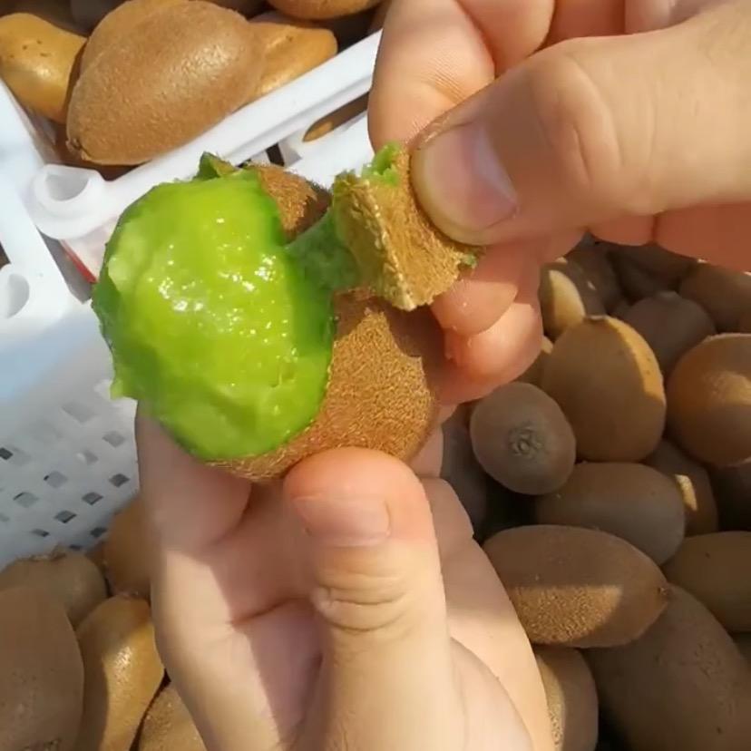 嘉缘农业