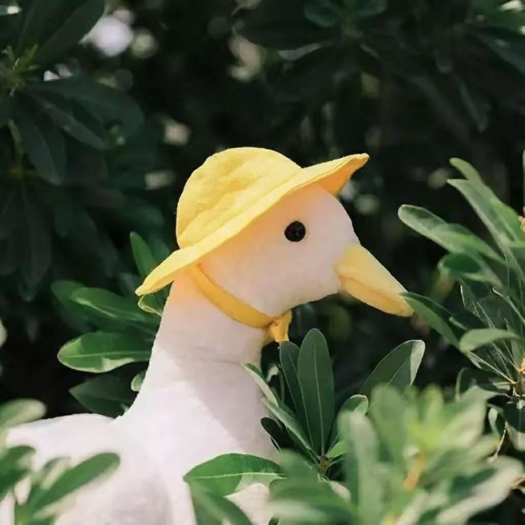 重生之我在王者峡谷搬砖