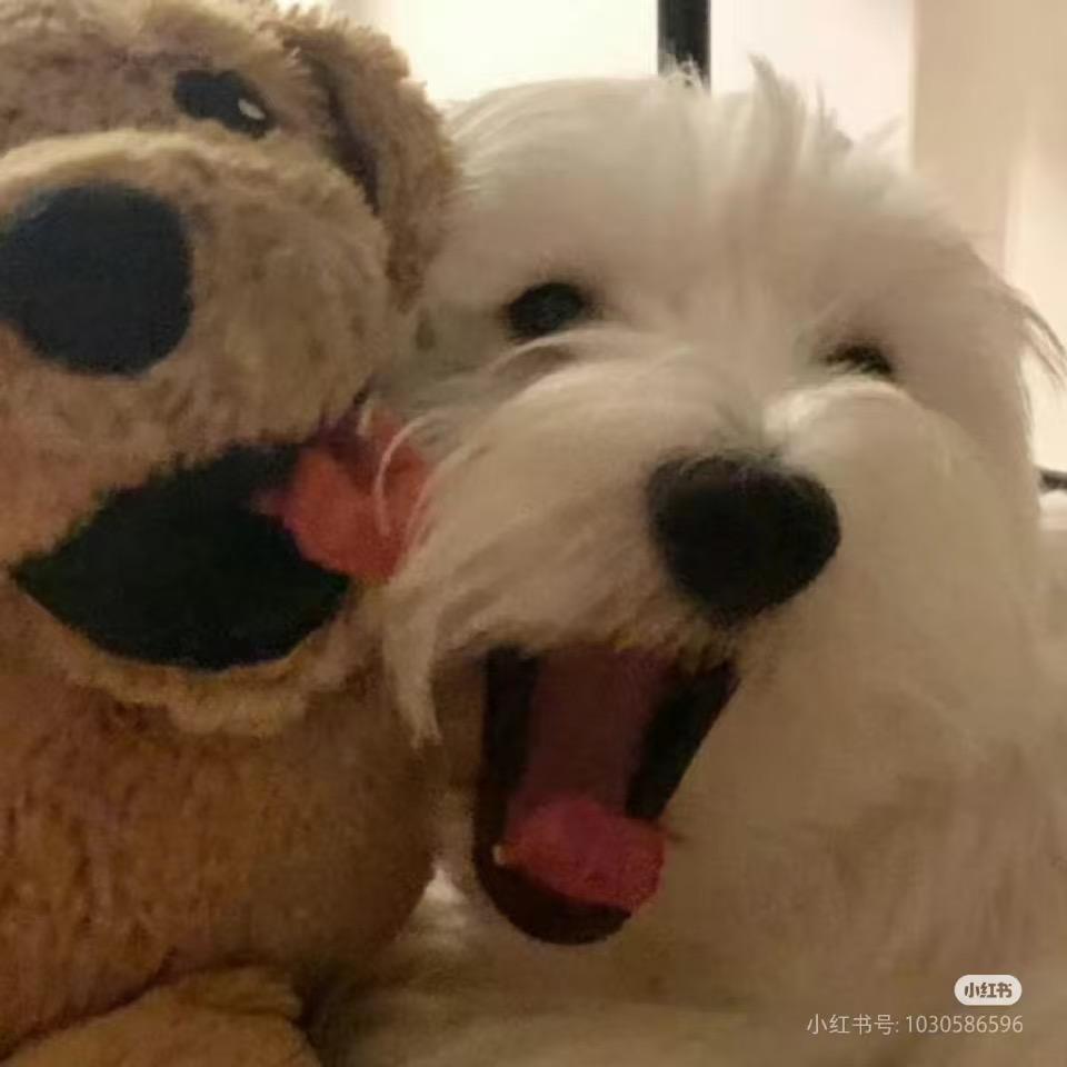 敬美丽不美丽🧸