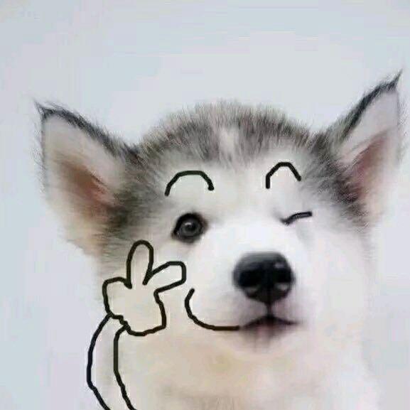 小北