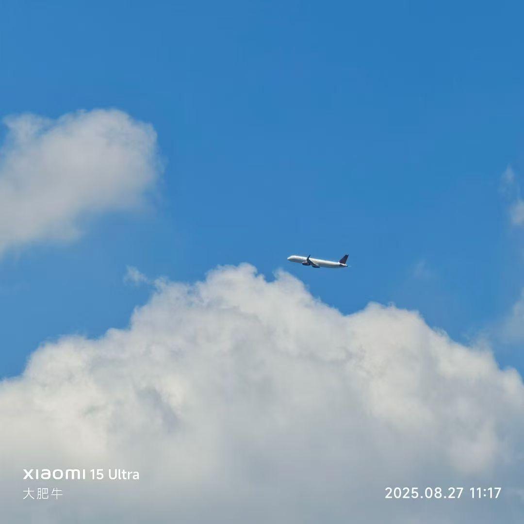 写在当下的生活