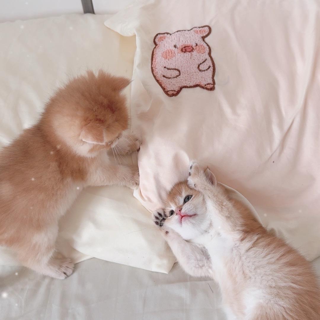 失态