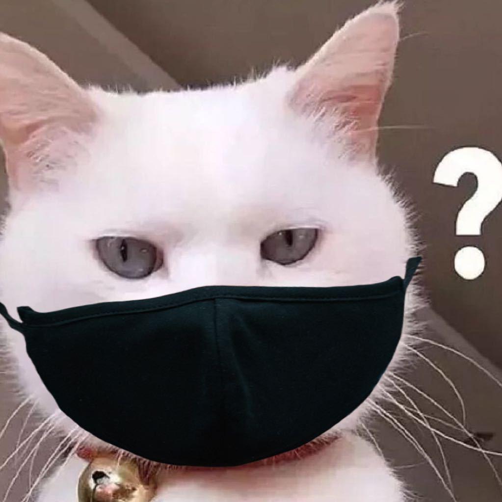 暴躁猫猫头Sally