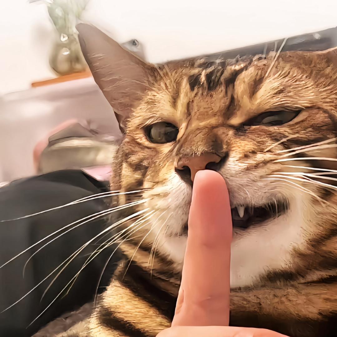 去痛片、