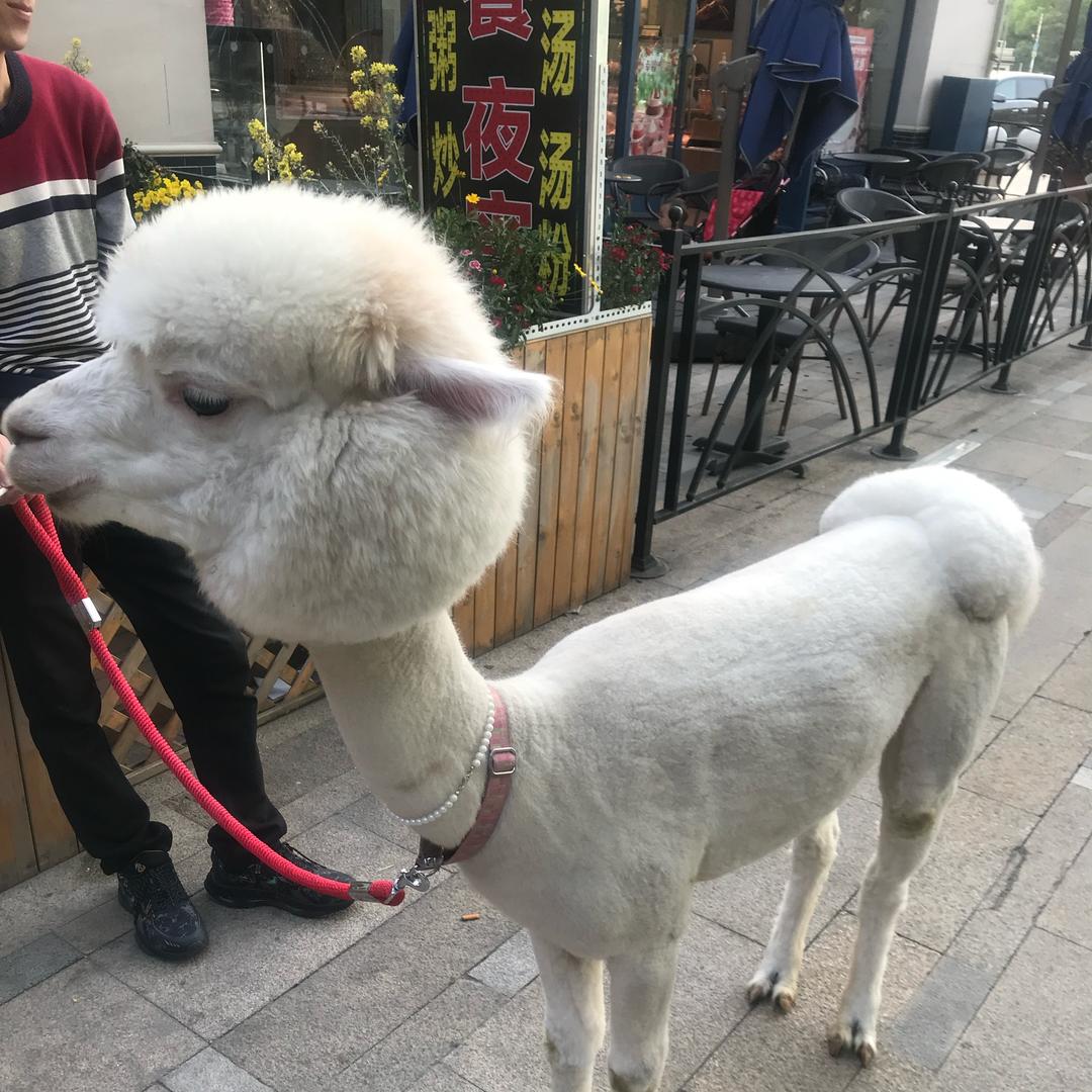地中海
