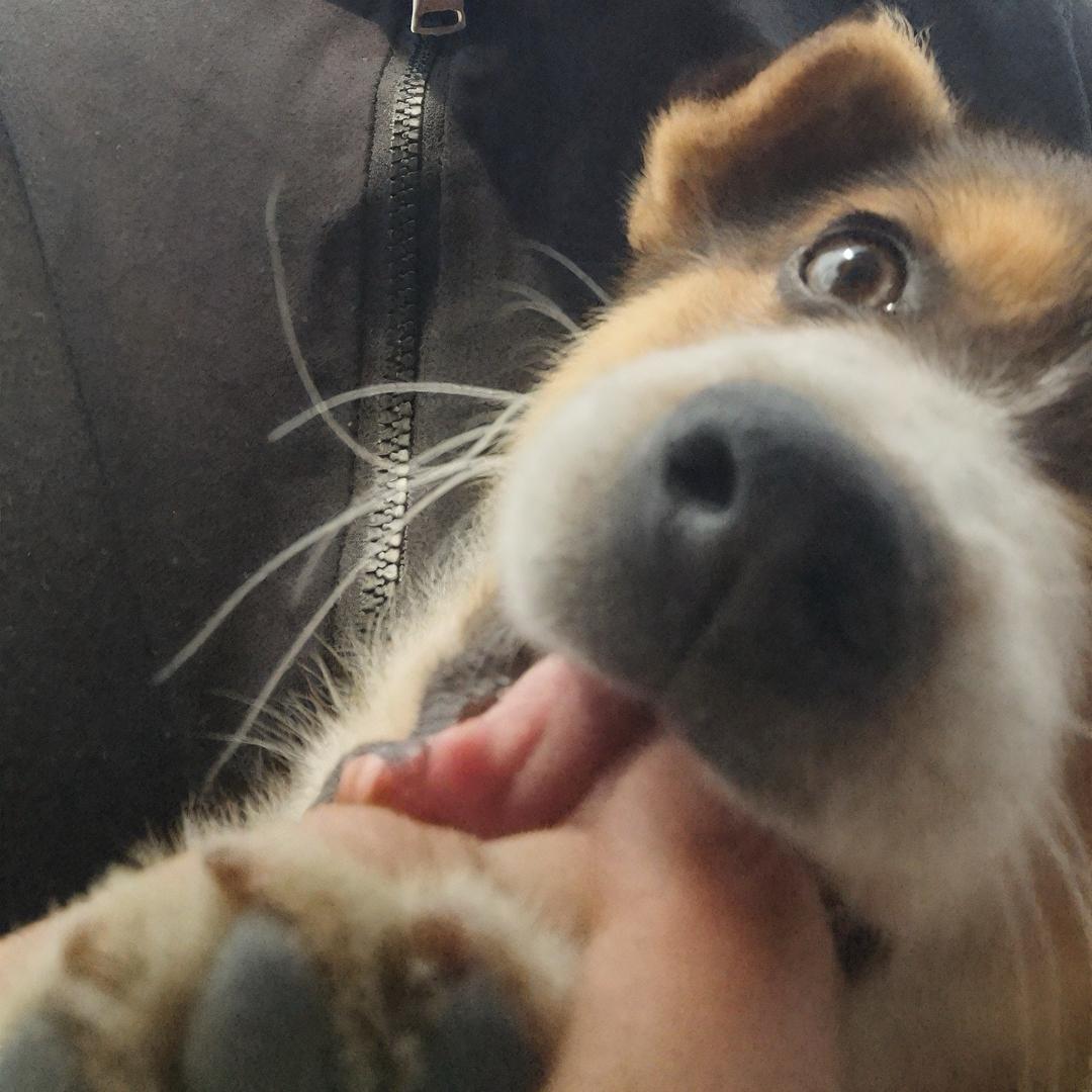 w杰.
