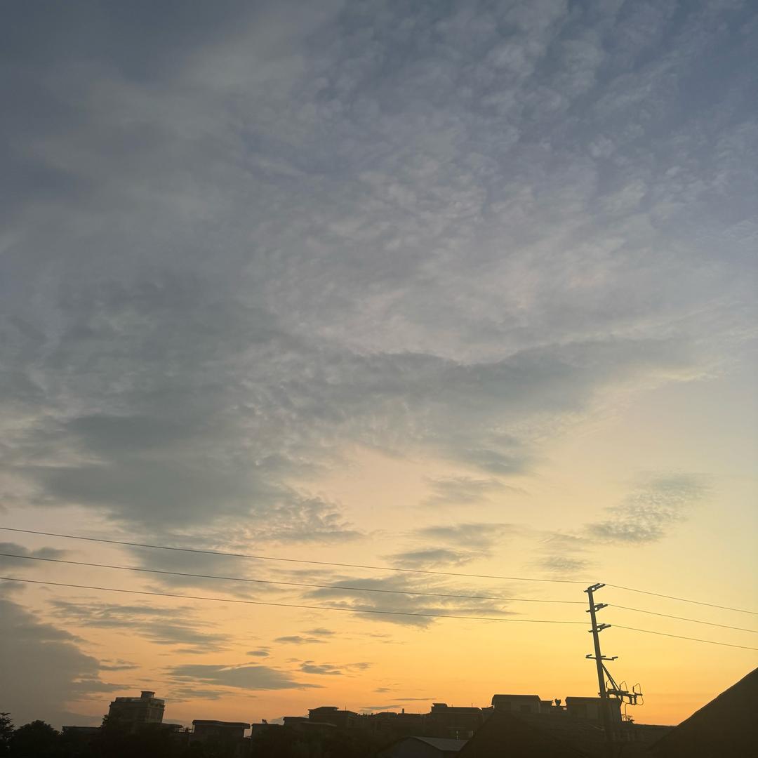 技術高超的李教练（陸一驾校版）