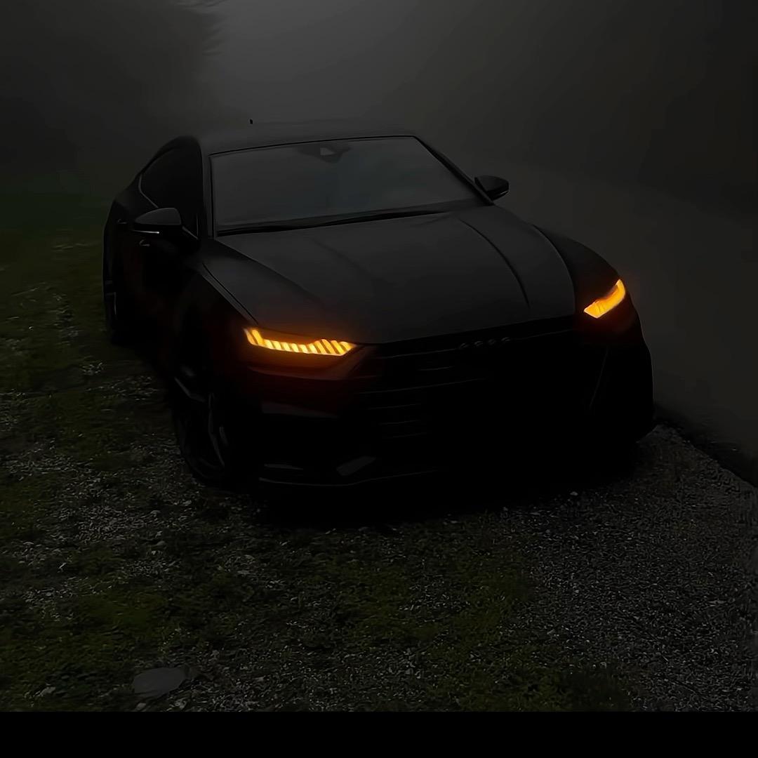 成全の十→背叛