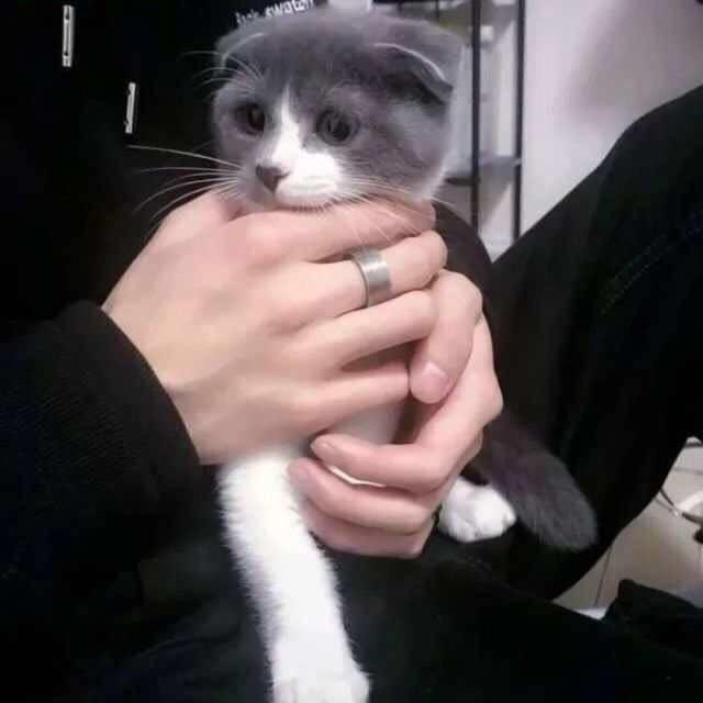 夜夜