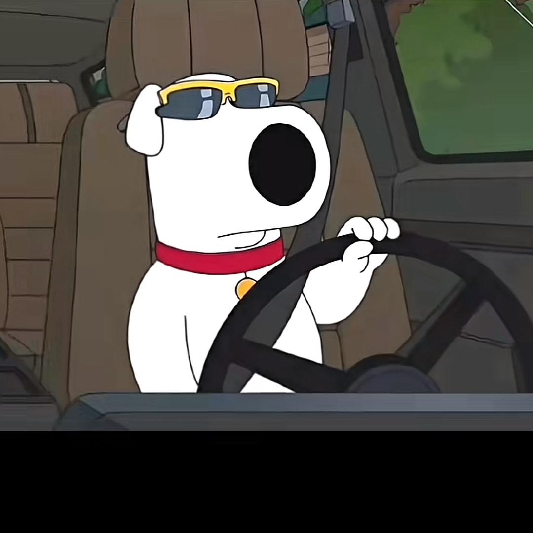 龙舌兰上的柠檬🍋