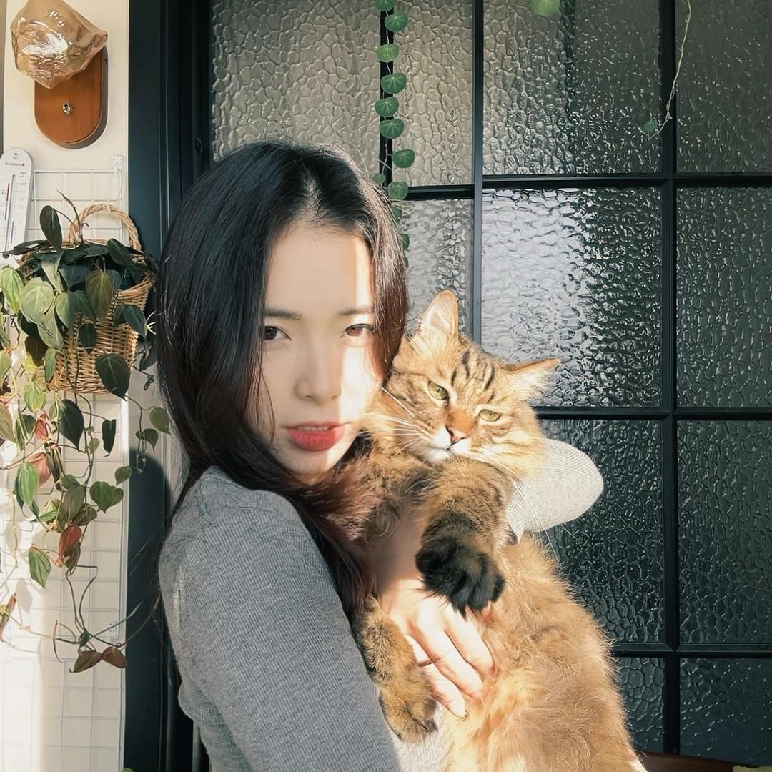 一只小胖鱼🐠