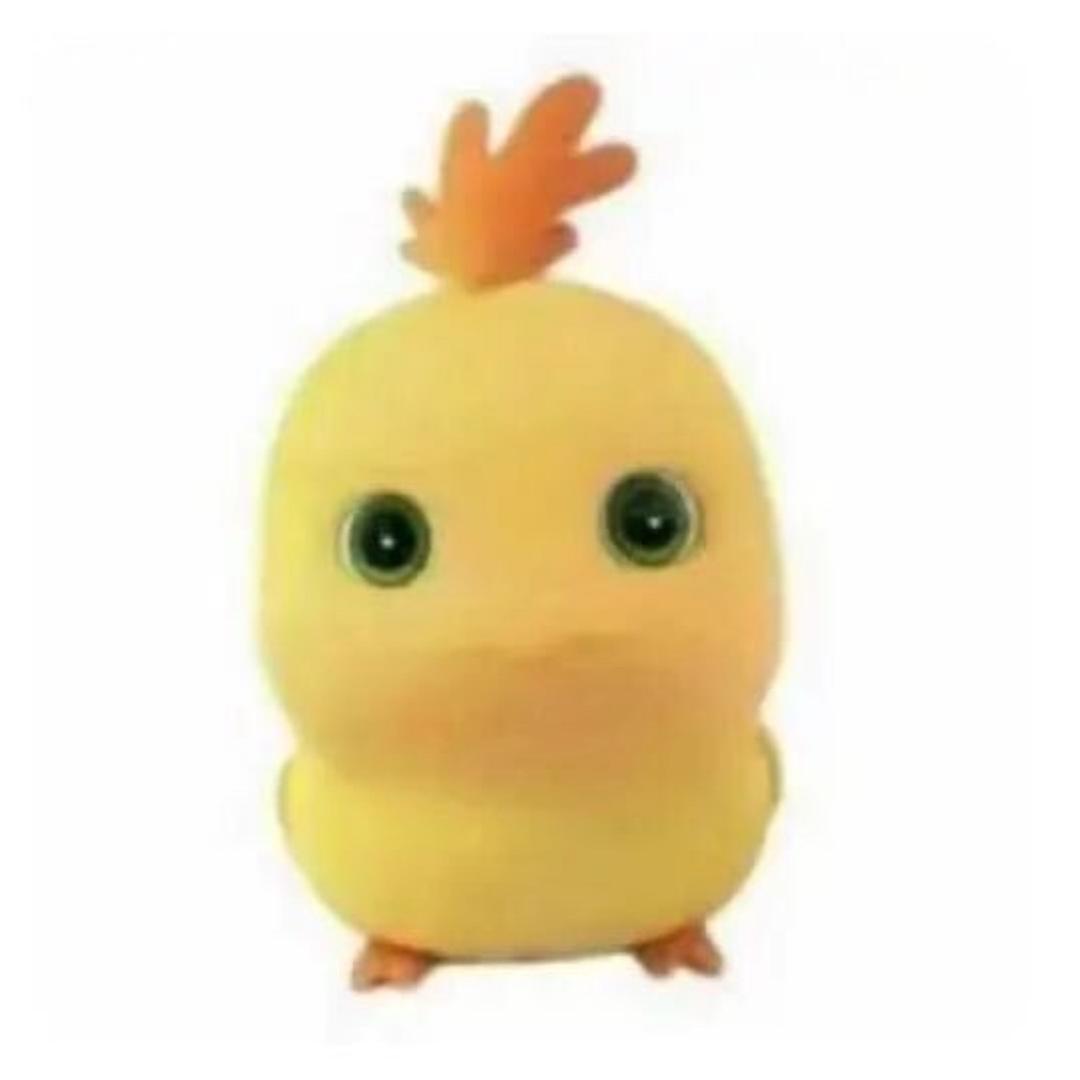 软弱的龟壳蛋