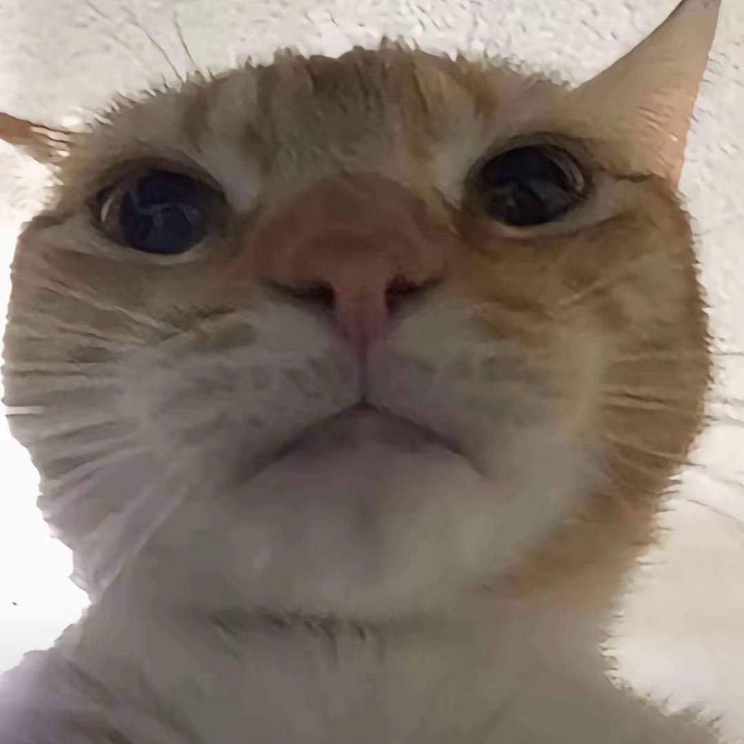 我要吃猪脚饭