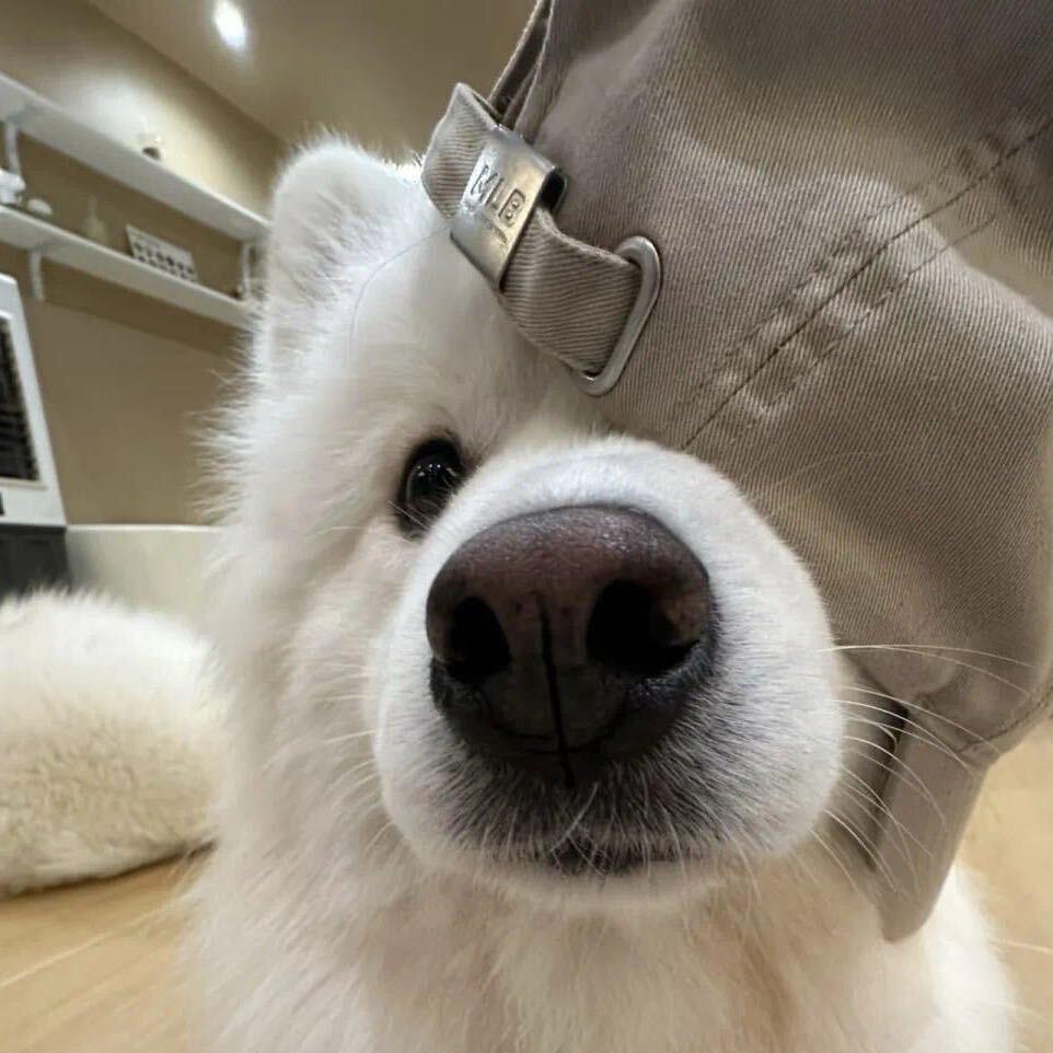 下次见面是什么时候