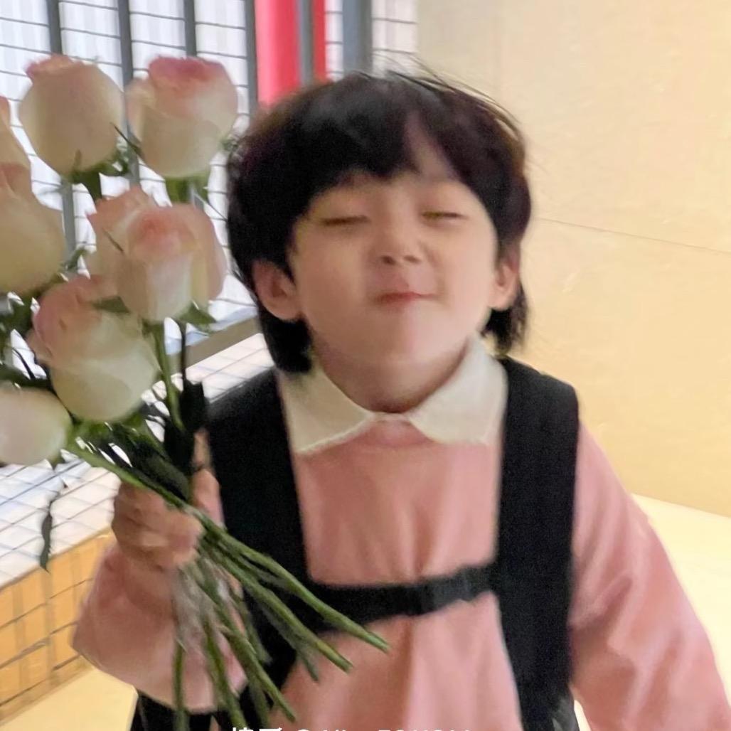 苏辞