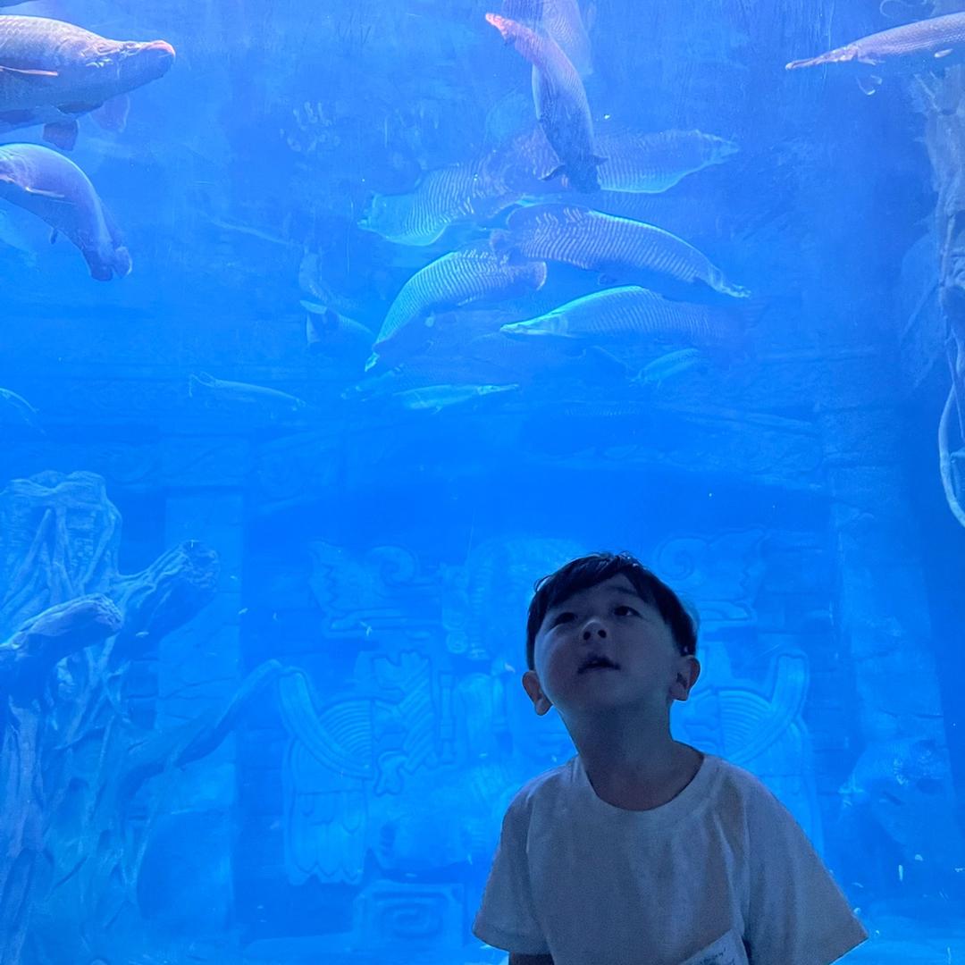 木子