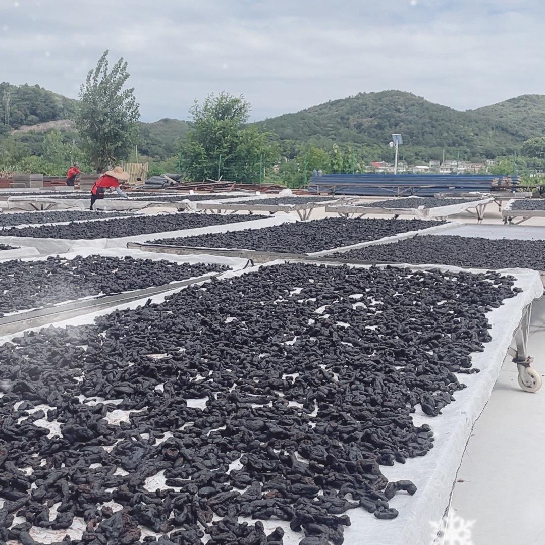 车月芳滋补养生专营店3号