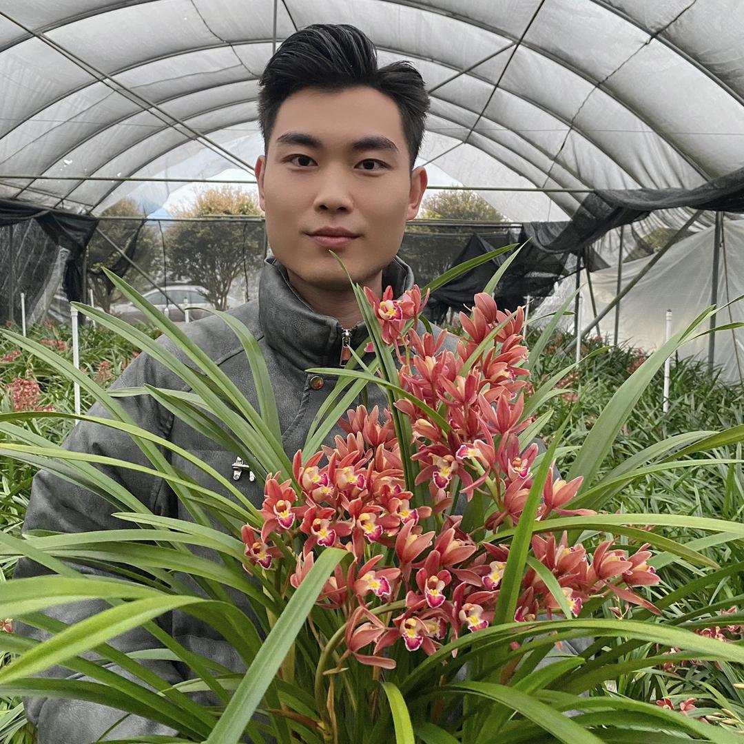 珺萧予花