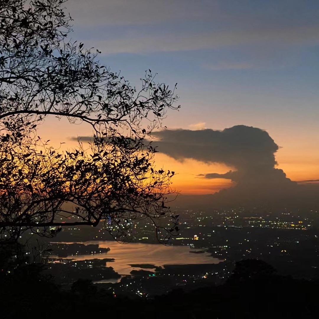 骑着蚂蚁闯红灯2