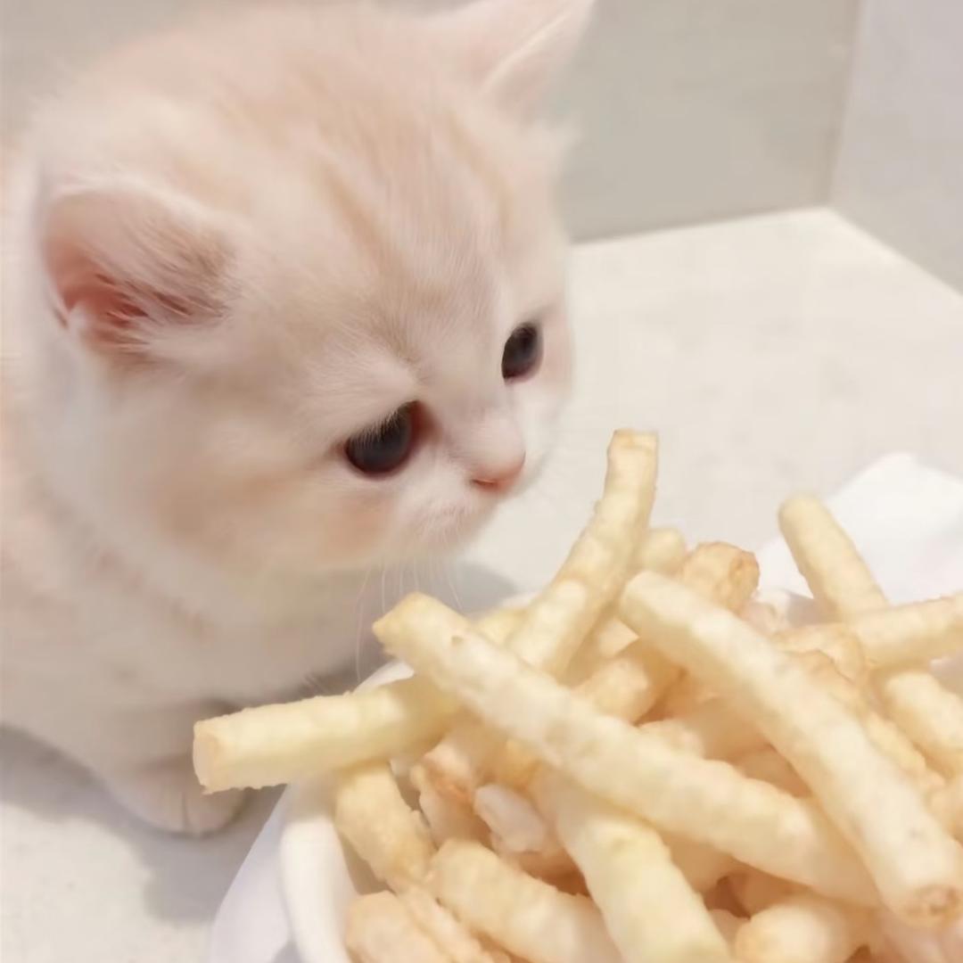 Nnbaby