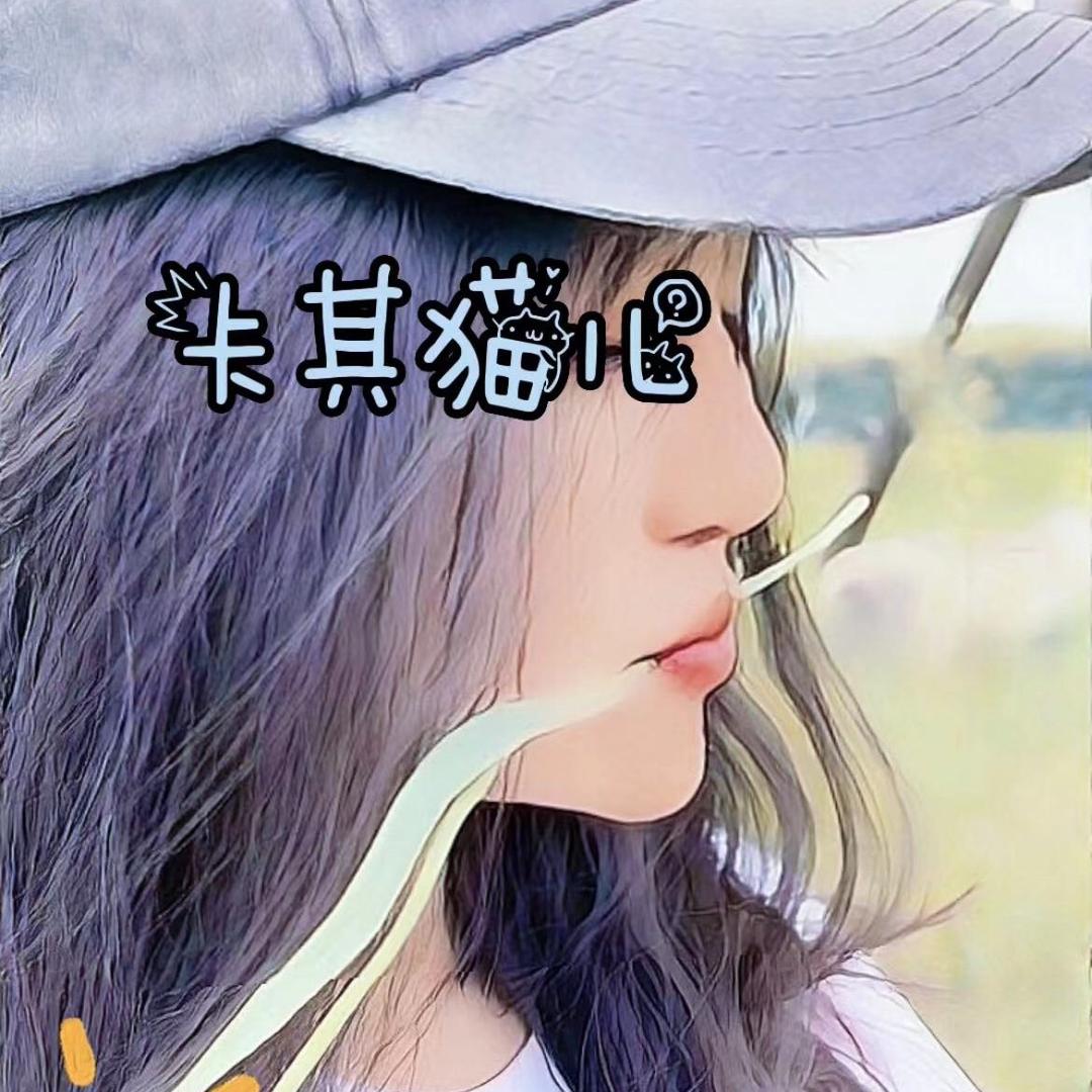 卡其猫儿