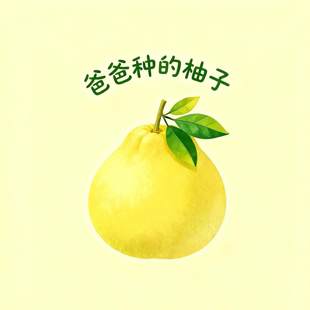 爸爸种的柚子