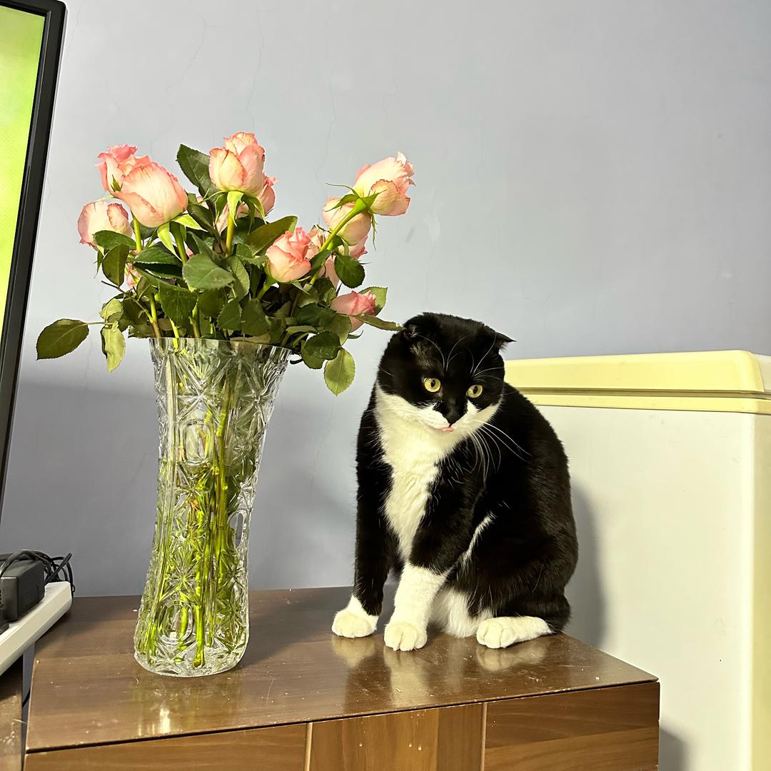 🔆☀️愿将来胜过往☀️💫