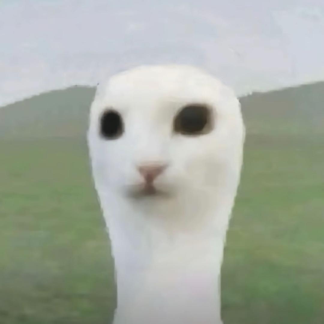 ong²