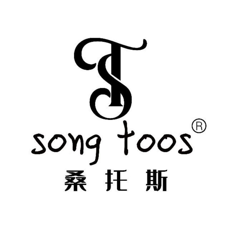 song toos魔琴乐器专卖店直播号
