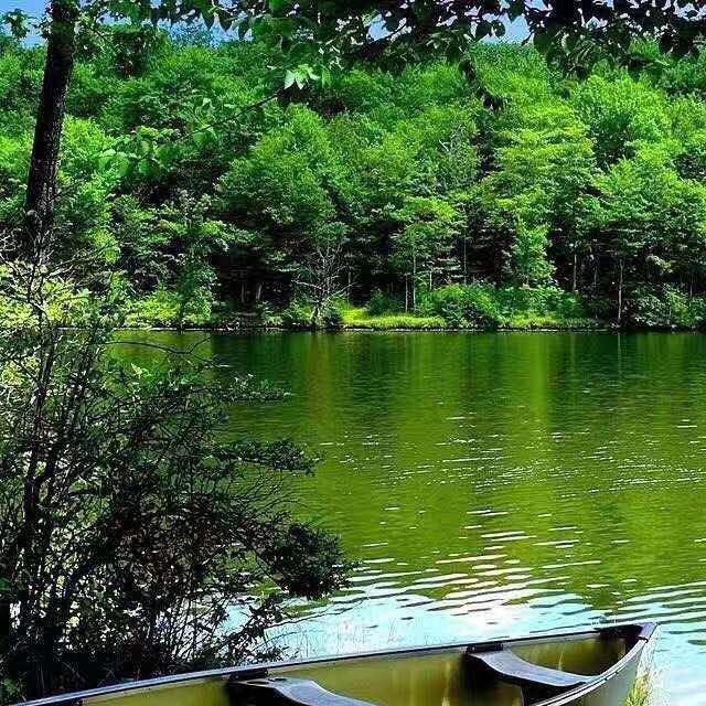 浏阳通程～守望者