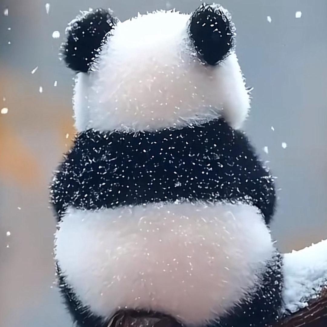 郑在输入……&   郁见你