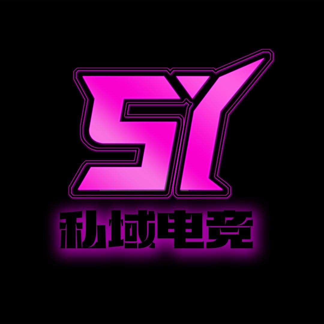 私域电竞