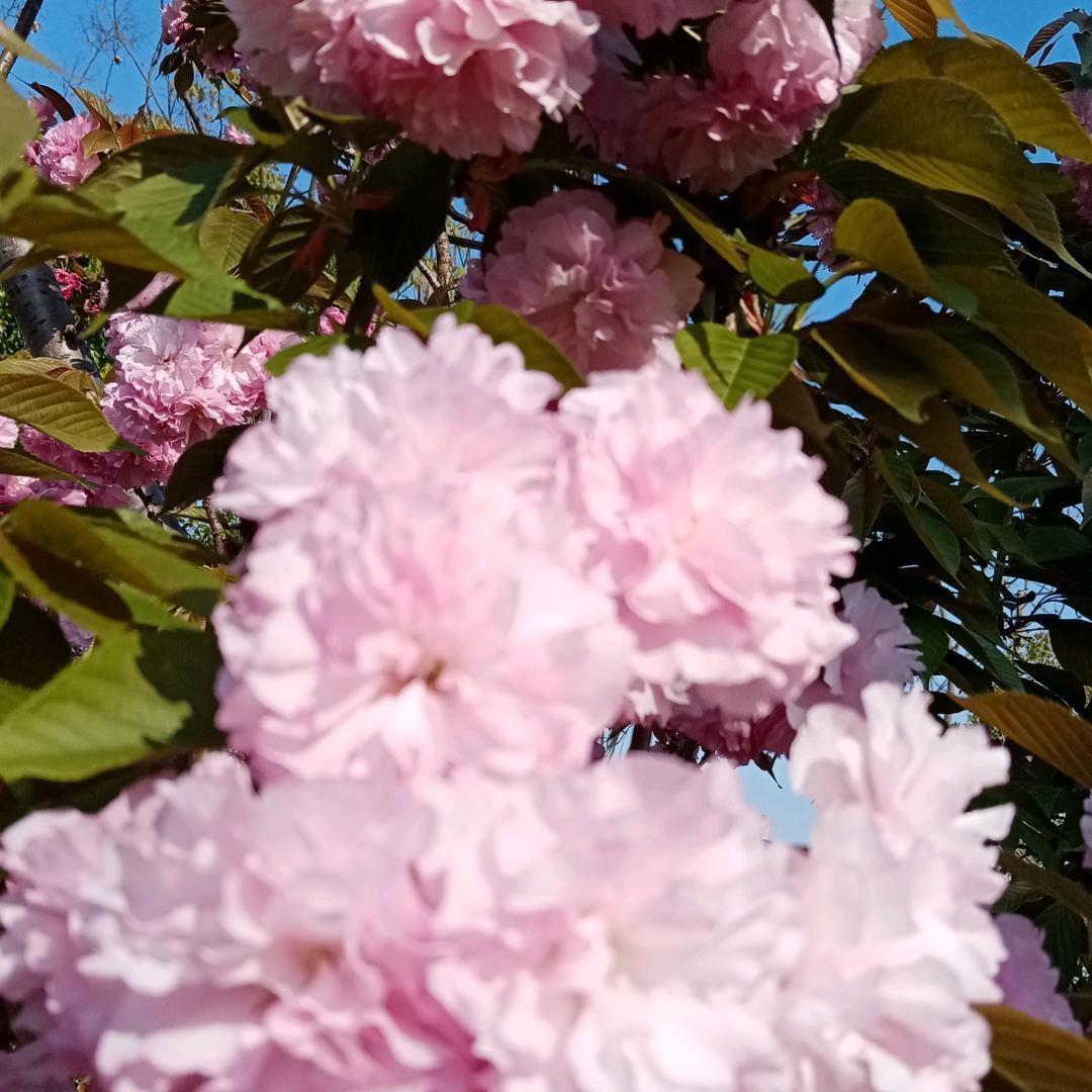 ♥四季安然♥顺风顺水♥