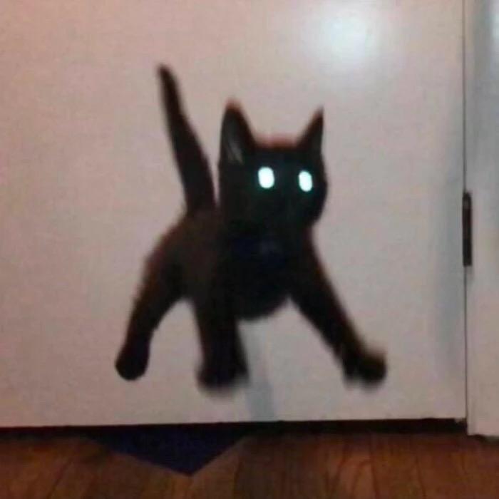 🫨
