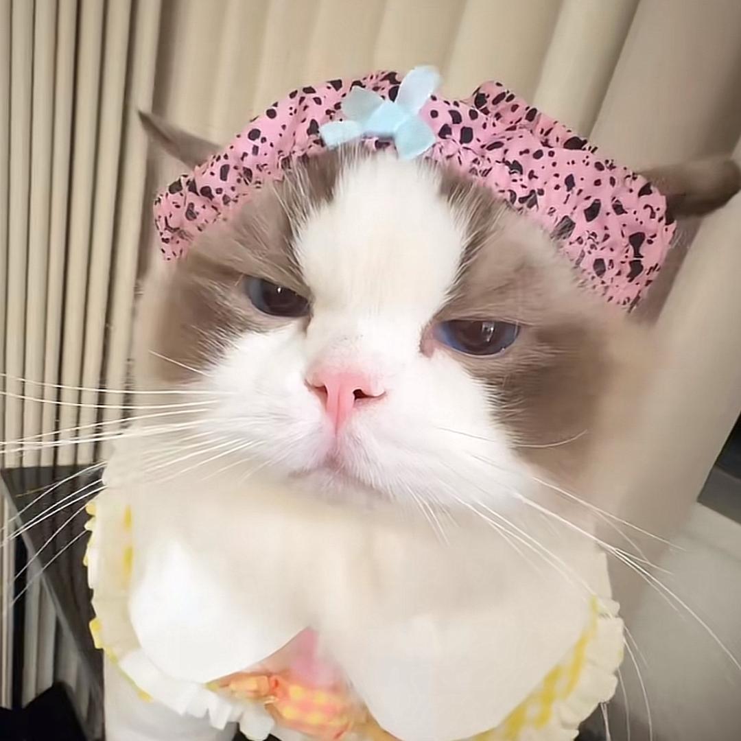 恩呐