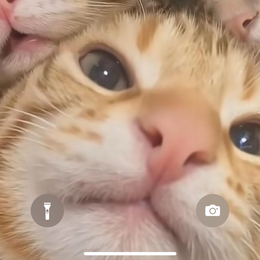 林林