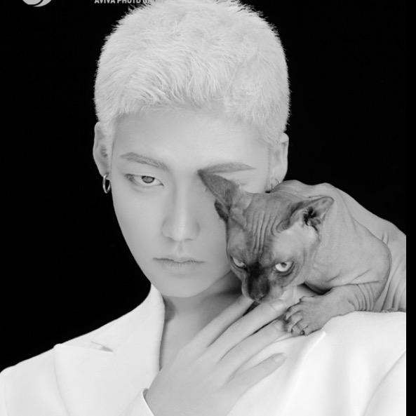 再给小赵来碗饭