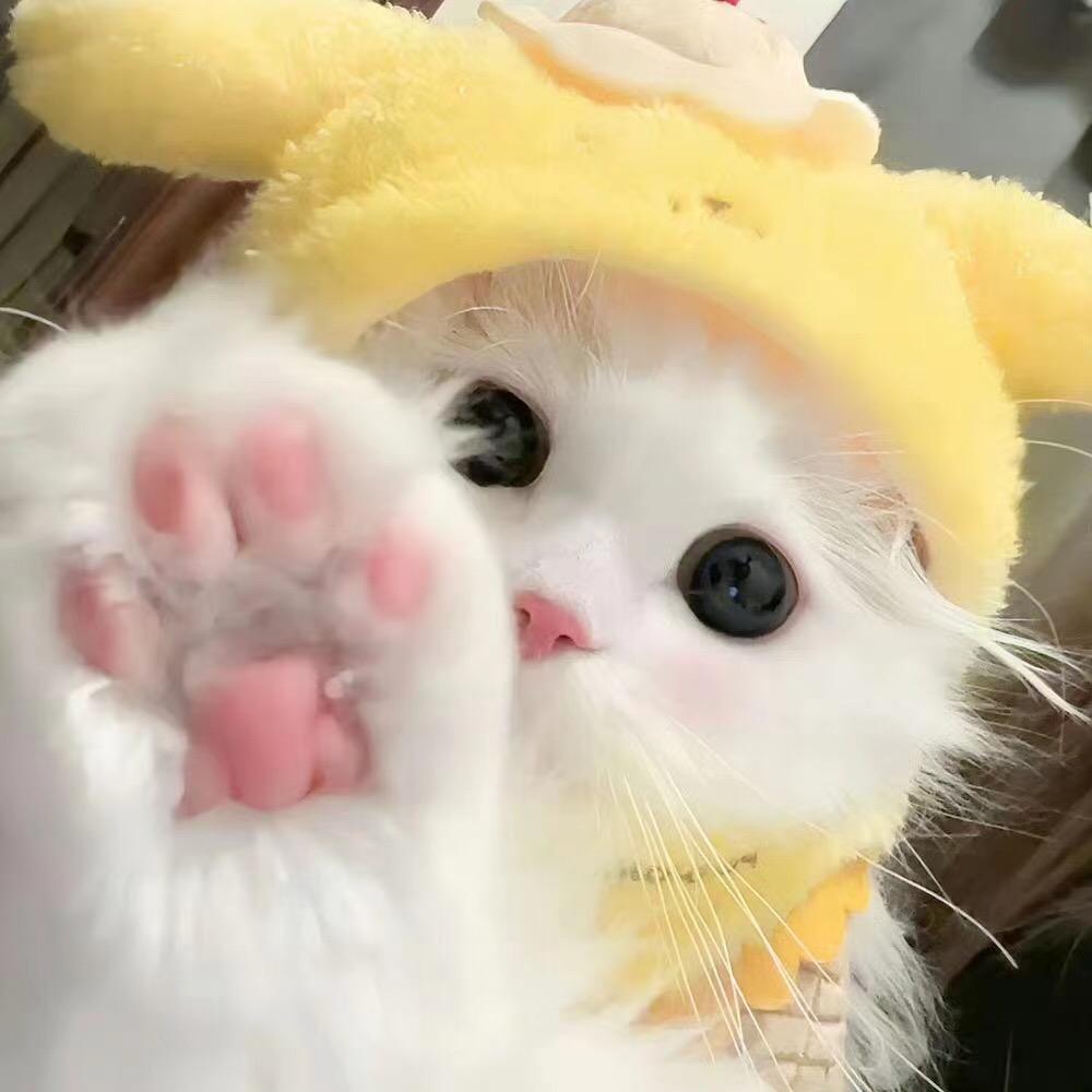🥰🥰