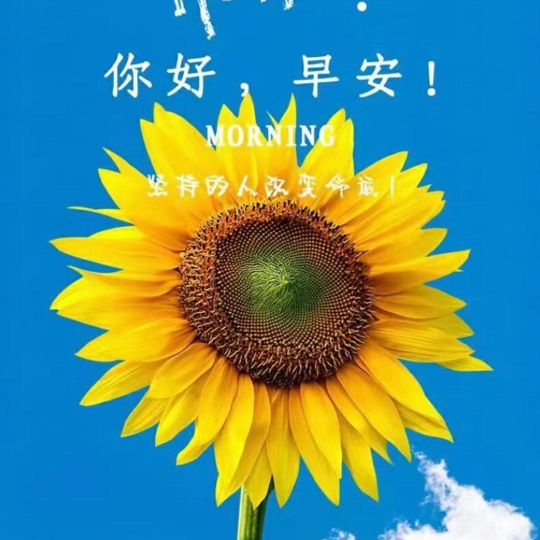 应城刘家三小姐