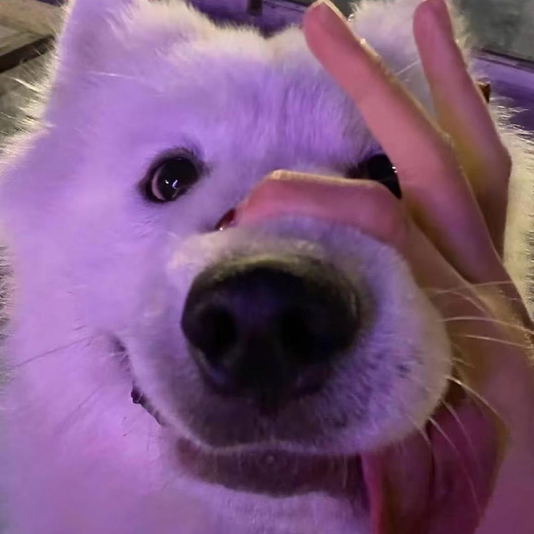 嘚嘚以嘚嘚