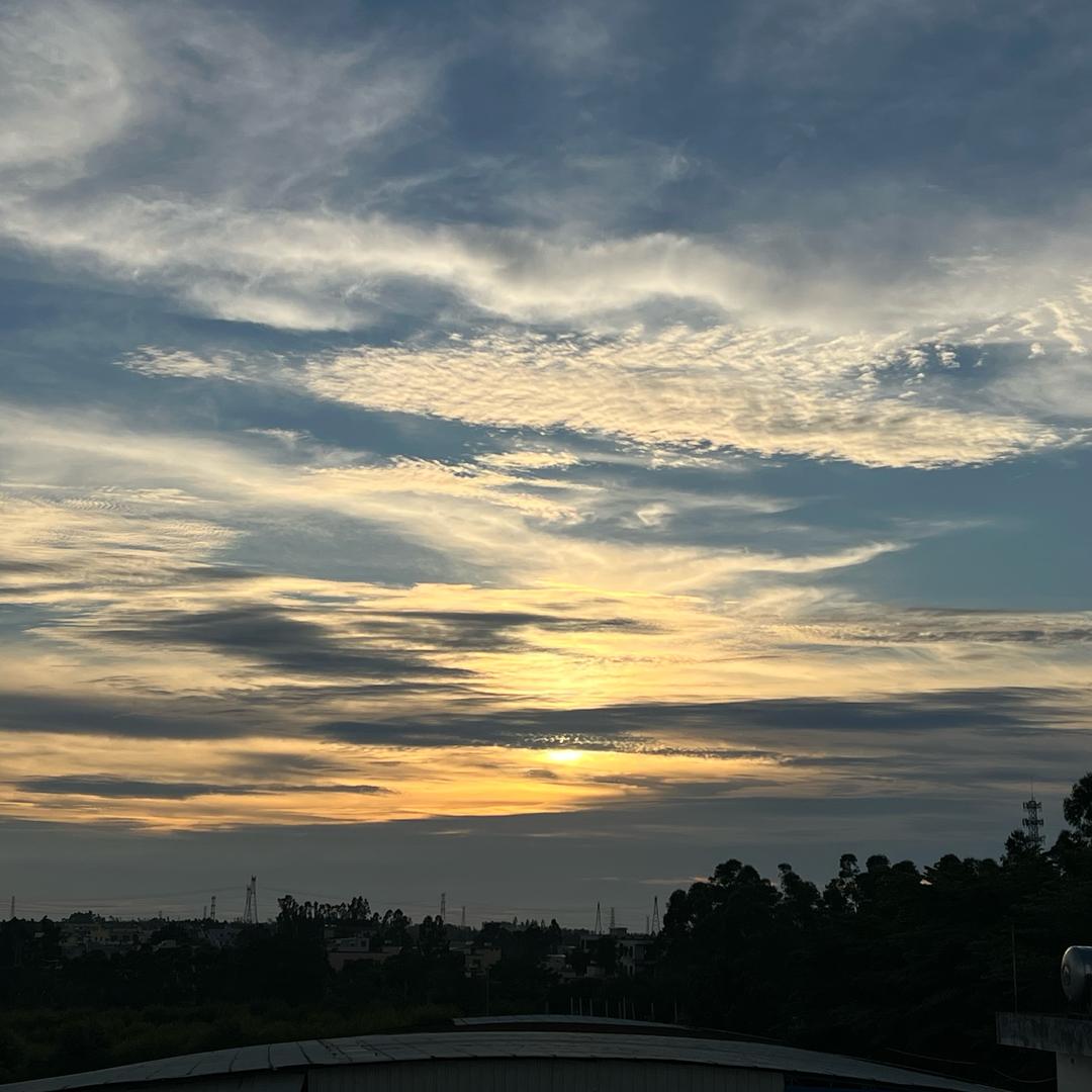 那年夏天