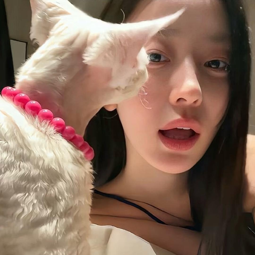小猫爱吃鱼🐟