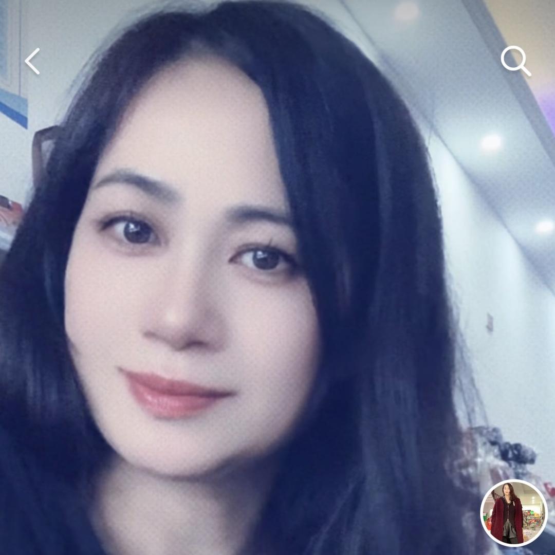 铁树梅花
