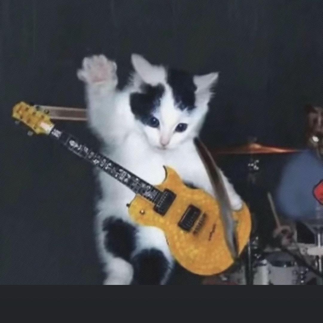 小猫弹吉他