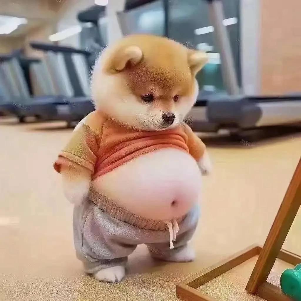 盖儿.