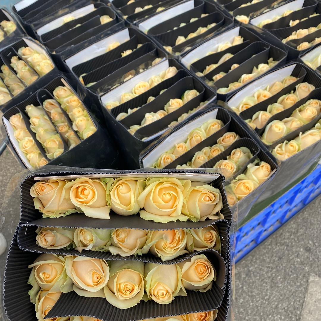 斗南锦泰花卉（一手基地花砍价拿货）