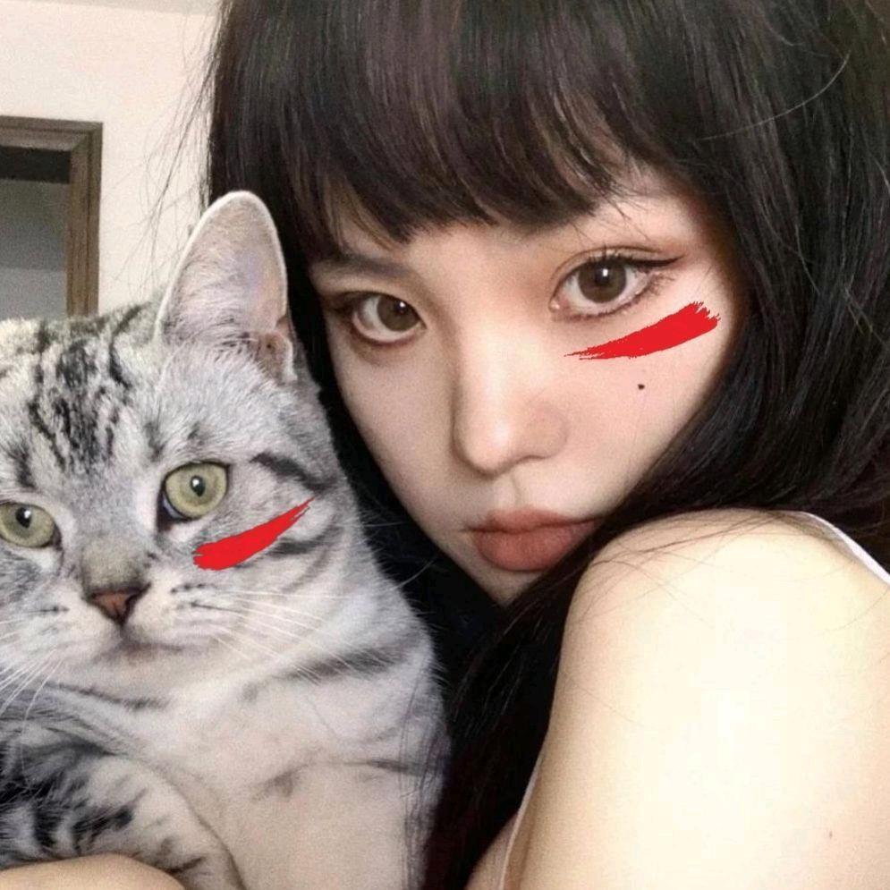 不是飞鸟
