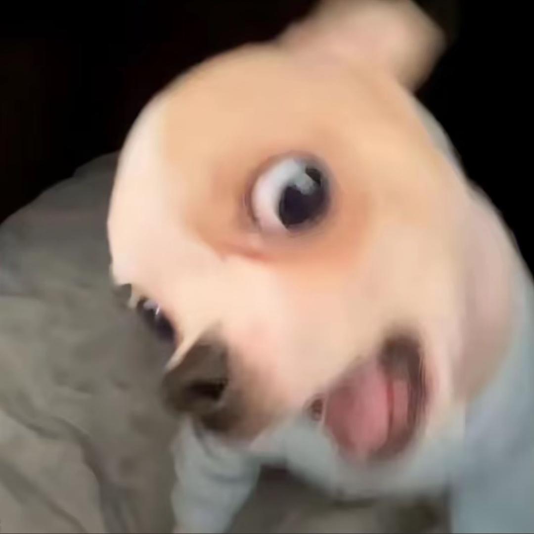 然后呢
