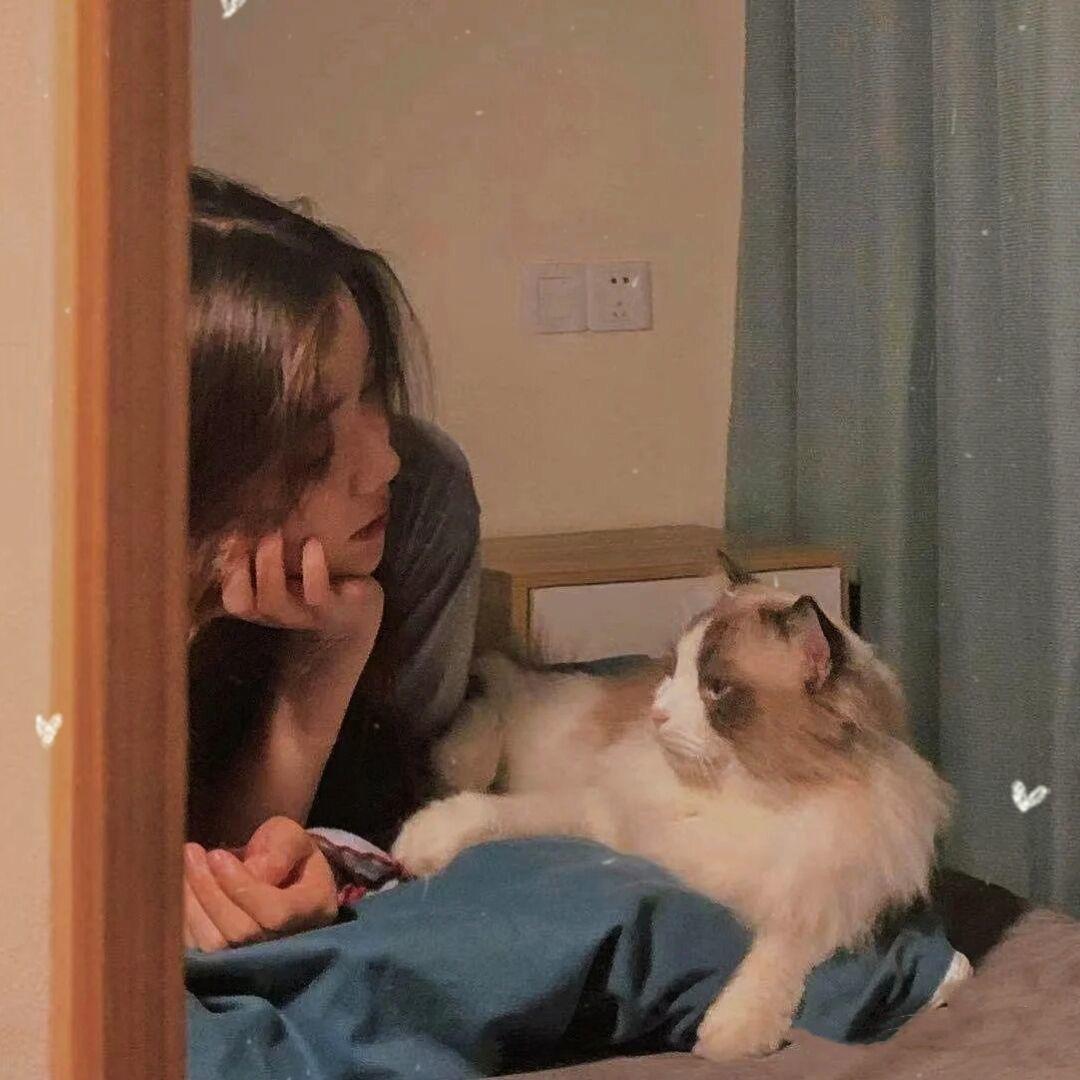 🌈蔓越莓奶绿💛