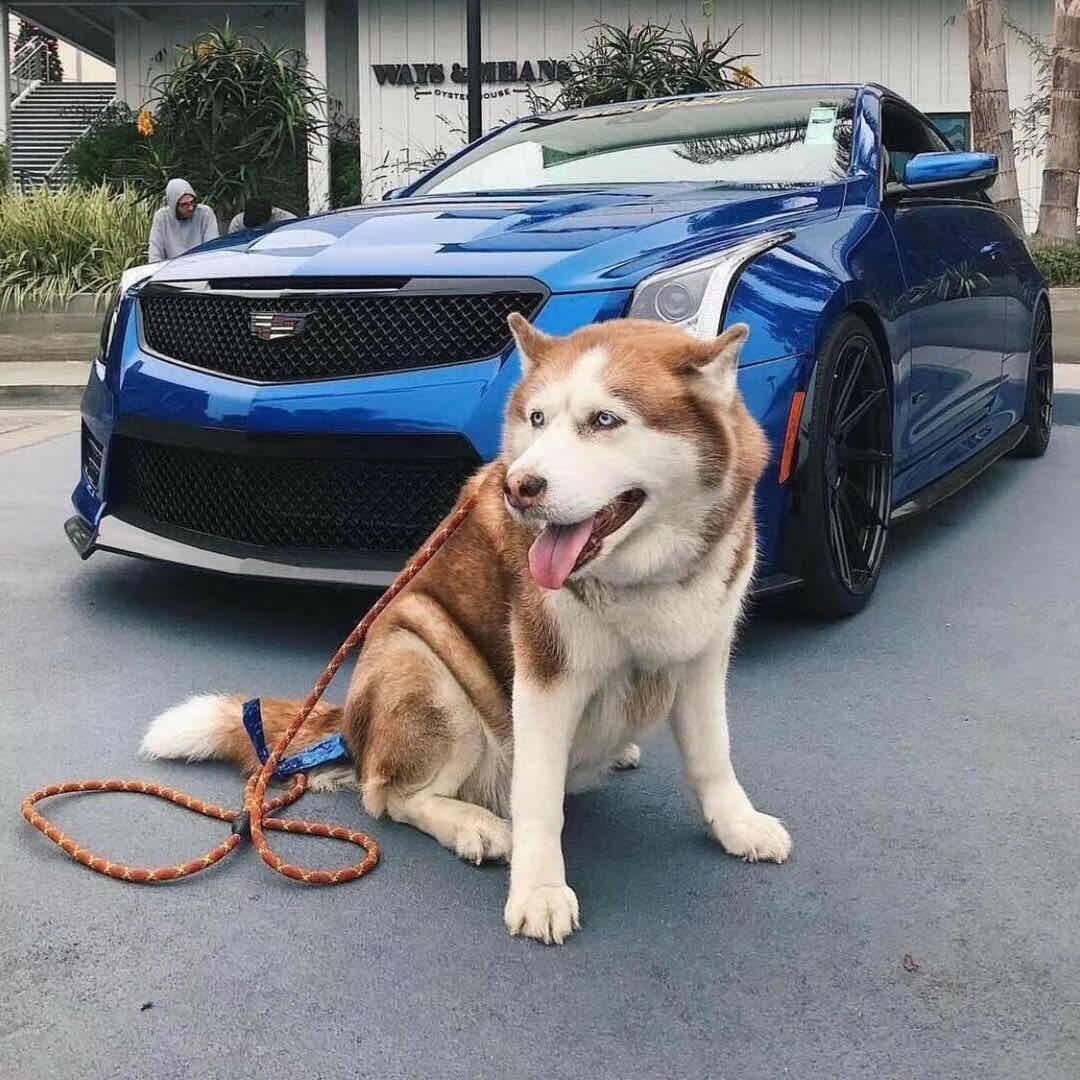 CCR杰哥-凯迪专改